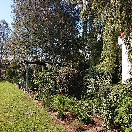 Toad Hall Guest House Wakkerstroom Exteriör bild